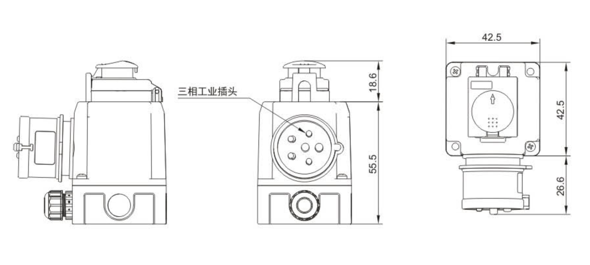 DZ08-4B5 Schalter-Stecker Kombination (2)