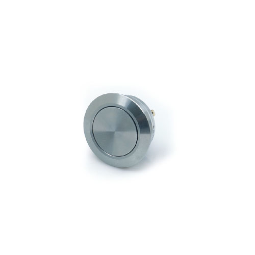 QN19-P1 anti vandal switch