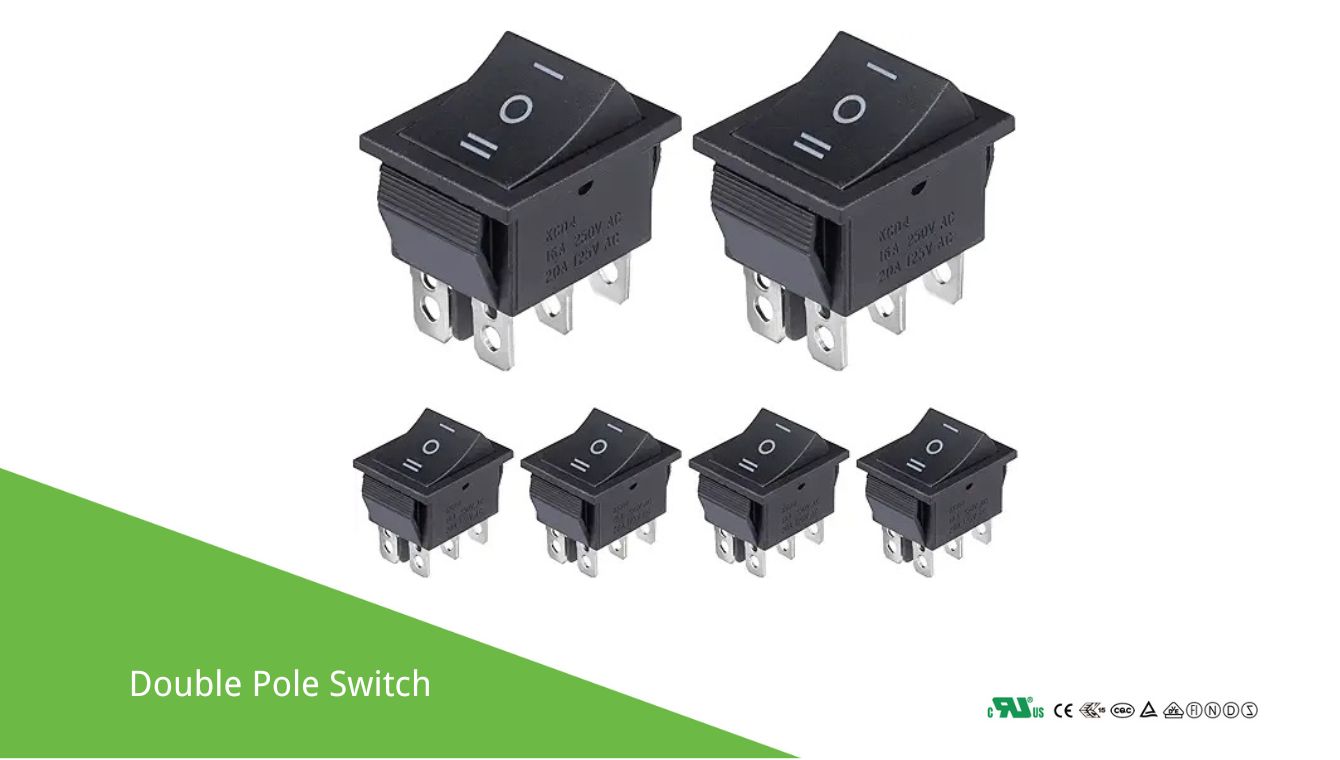 Double Pole Switch