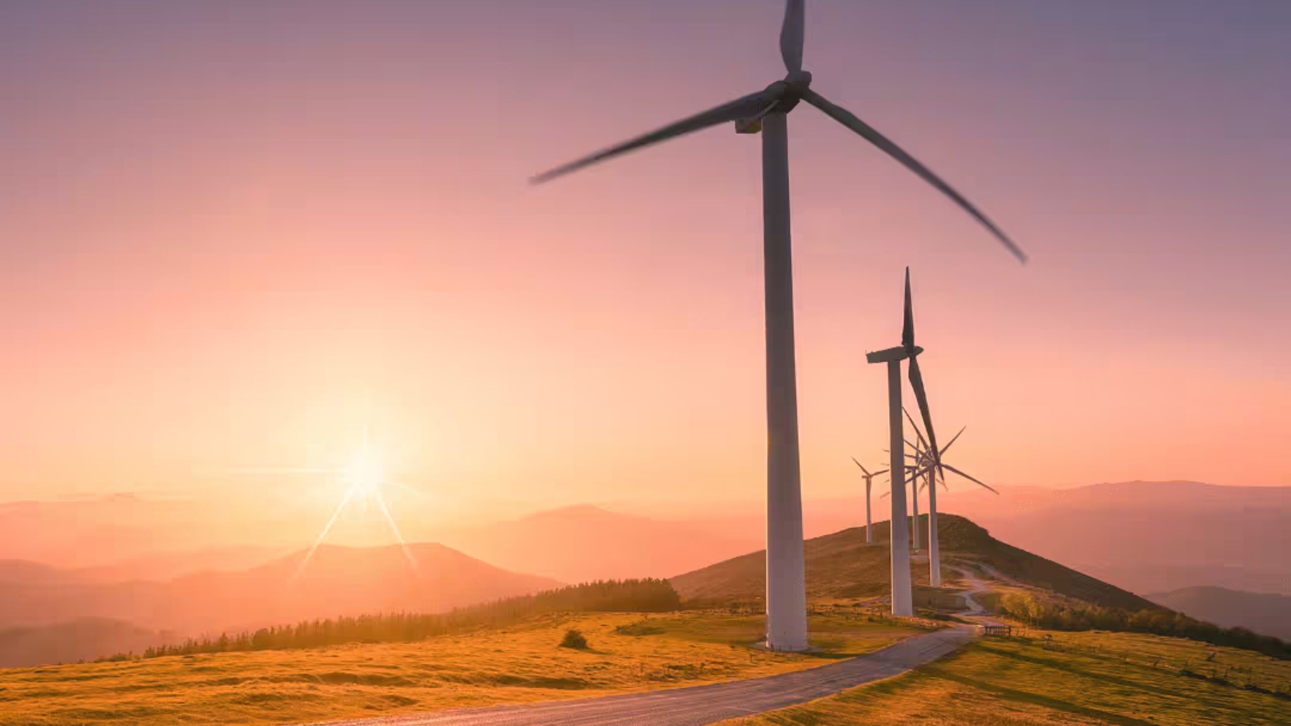 According to CWEUP, a reliable rocker switch manufacturer in China..